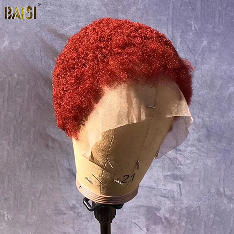 high-quality wigs for women with thick hair -Baisi Afro Culy Lace Wig